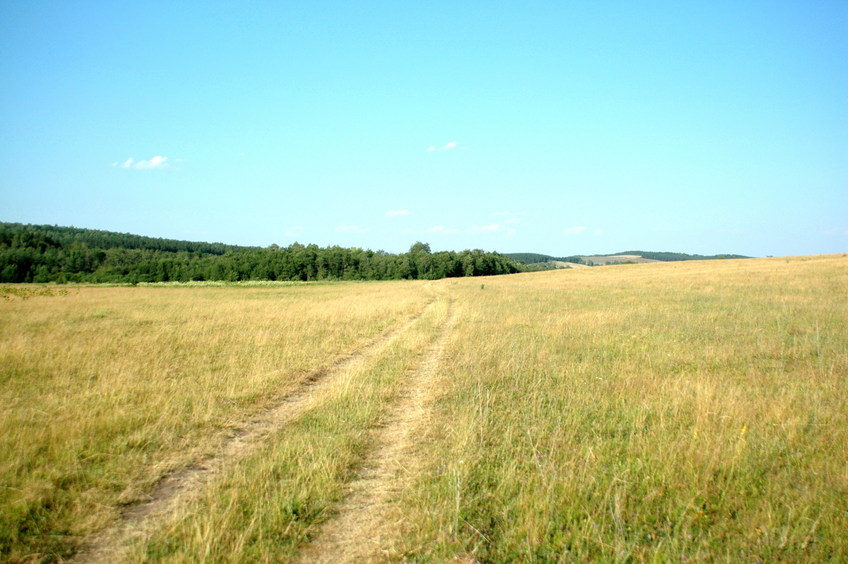 On the meadow towards the confluence