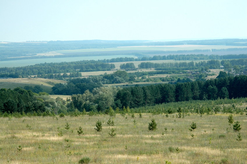 On the hill, view to the confluence area