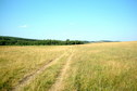 #8: On the meadow towards the confluence