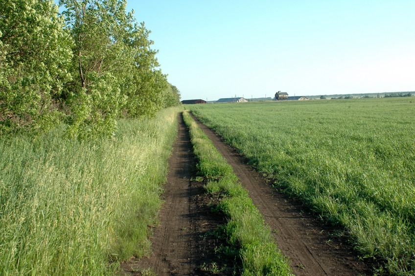 Field road