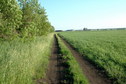 #7: Field road