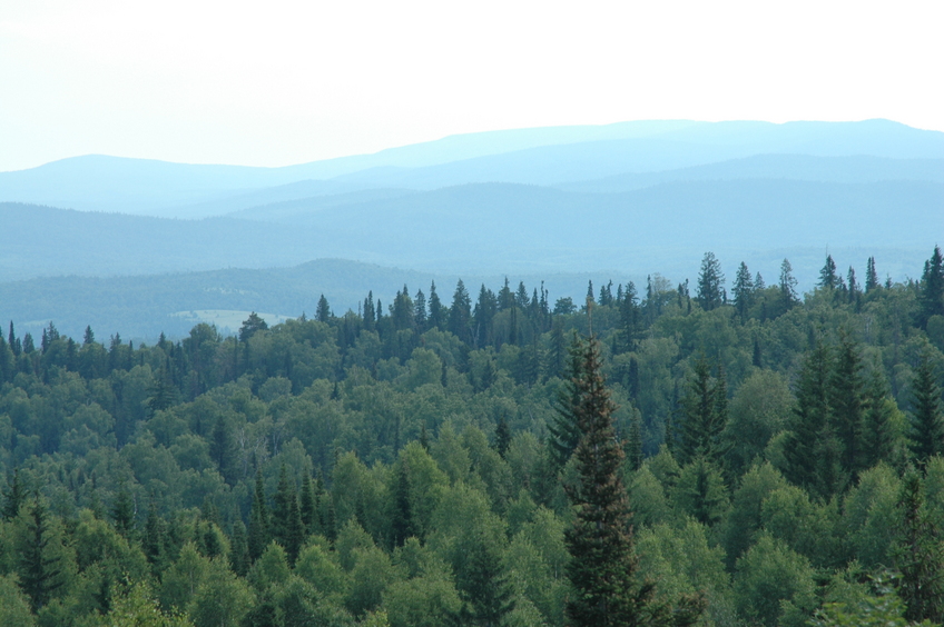 В районе Белорецка/Mountain view near Beloretsk