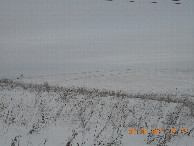 #5: На север / North view