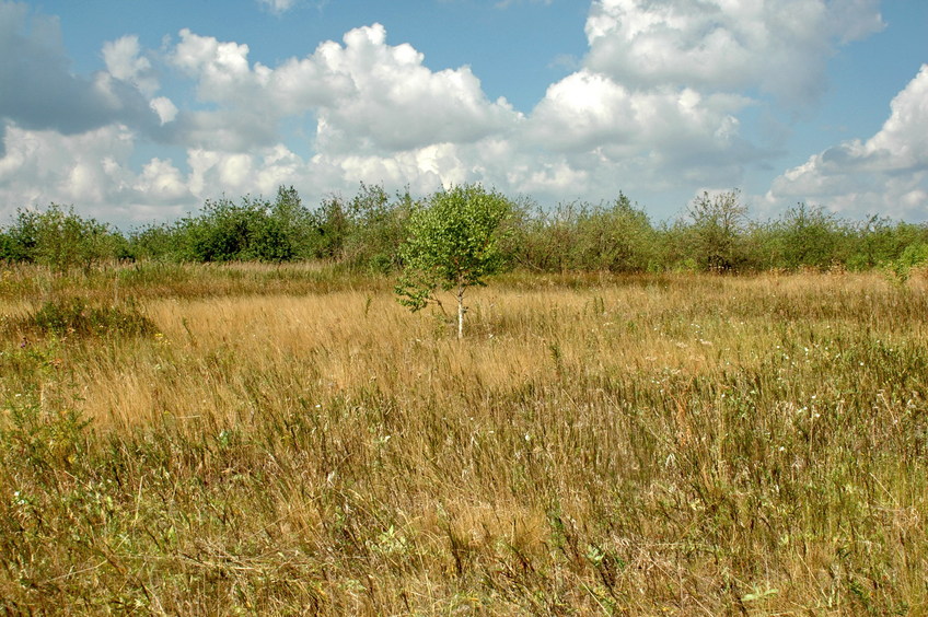 General view (NW)/общий вид (на СЗ)