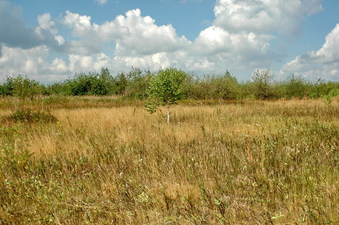 #1: General view (NW)/общий вид (на СЗ)