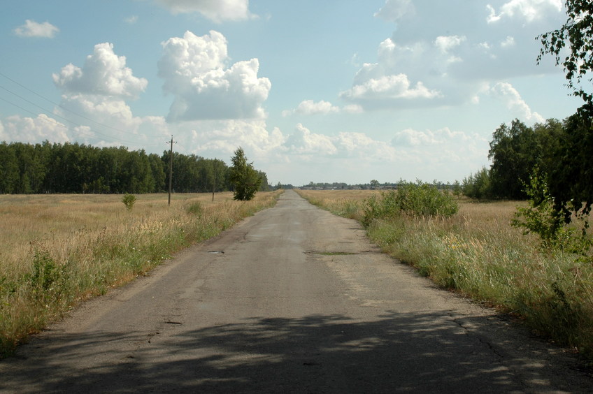 The road to Pechionkino/Дорога в Печёнкино