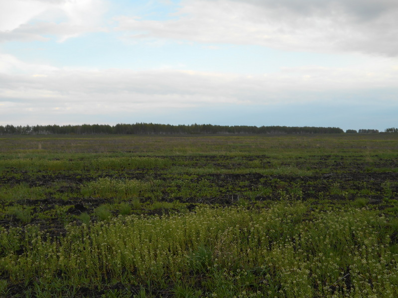 На Юг/South view