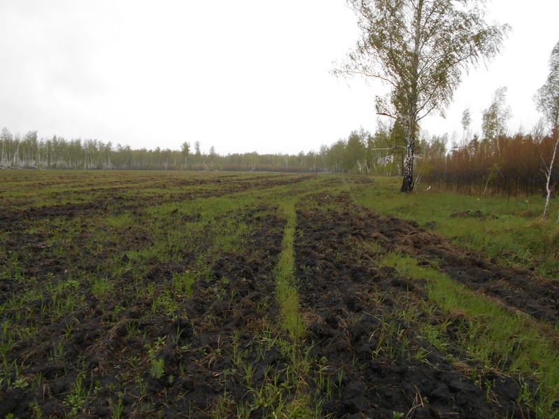 На Север/Towards North