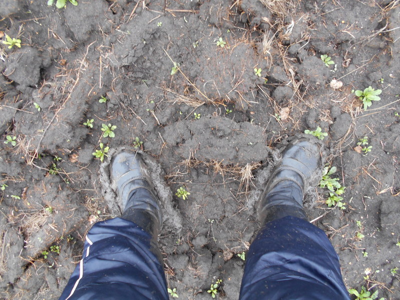 Грязь налипала на сапоги и.../Dirt stuck to boots