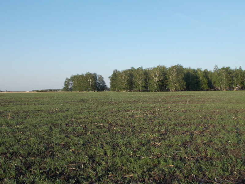 На Восток/East view