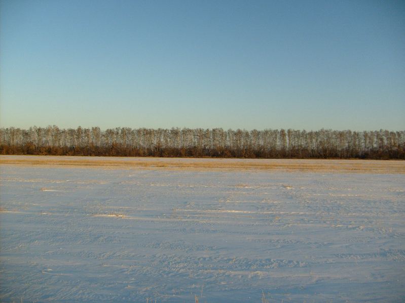 Looking east from the confluence