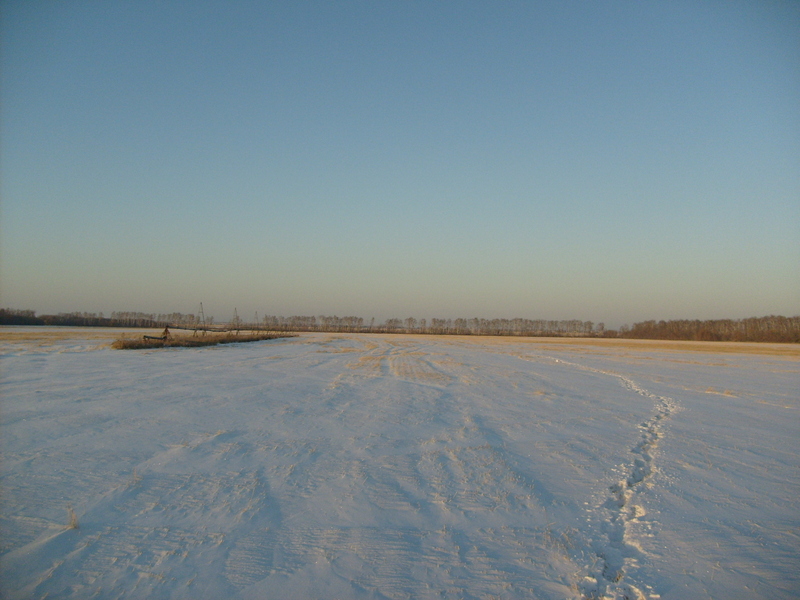 Looking north from the confluence