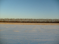 #6: Looking east from the confluence