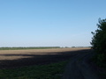 #5: Вид на поле с пересечением/The field with confluence