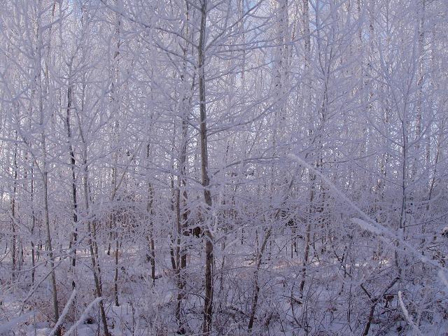 North