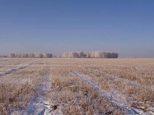 West