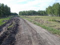 #9: Полевая дорога, хорошо что сухо/Field dirt road, it's lucky that it's dry