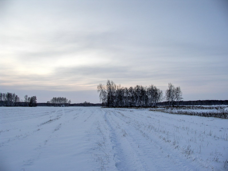 По заснеженным полям/Onto snowy fields