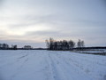 #8: По заснеженным полям/Onto snowy fields