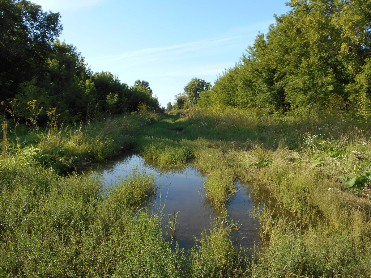 Улица бывшего поселка Гривенский (попытка 2) / A street of the former village of Grivensky (attempt 2)