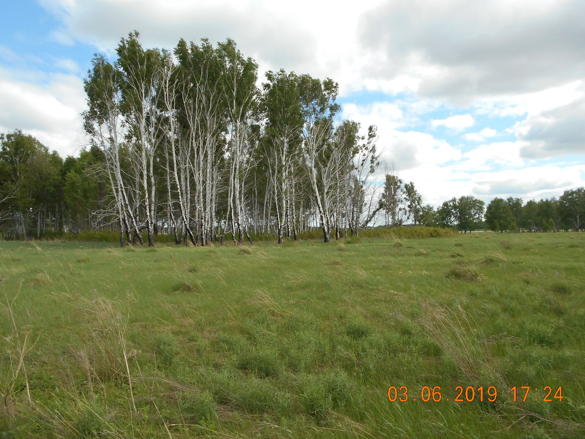 Местный пейзаж / Local Landscape