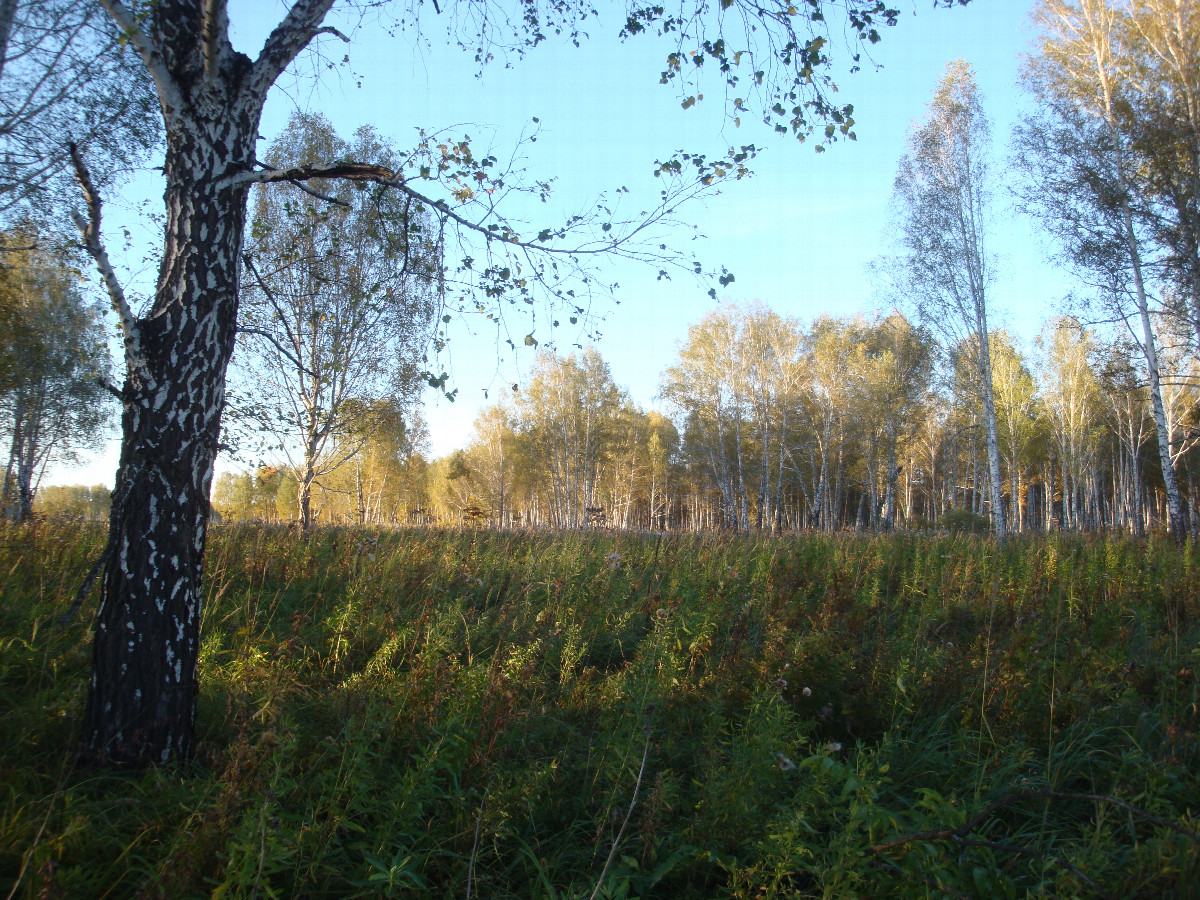 На север Facing North