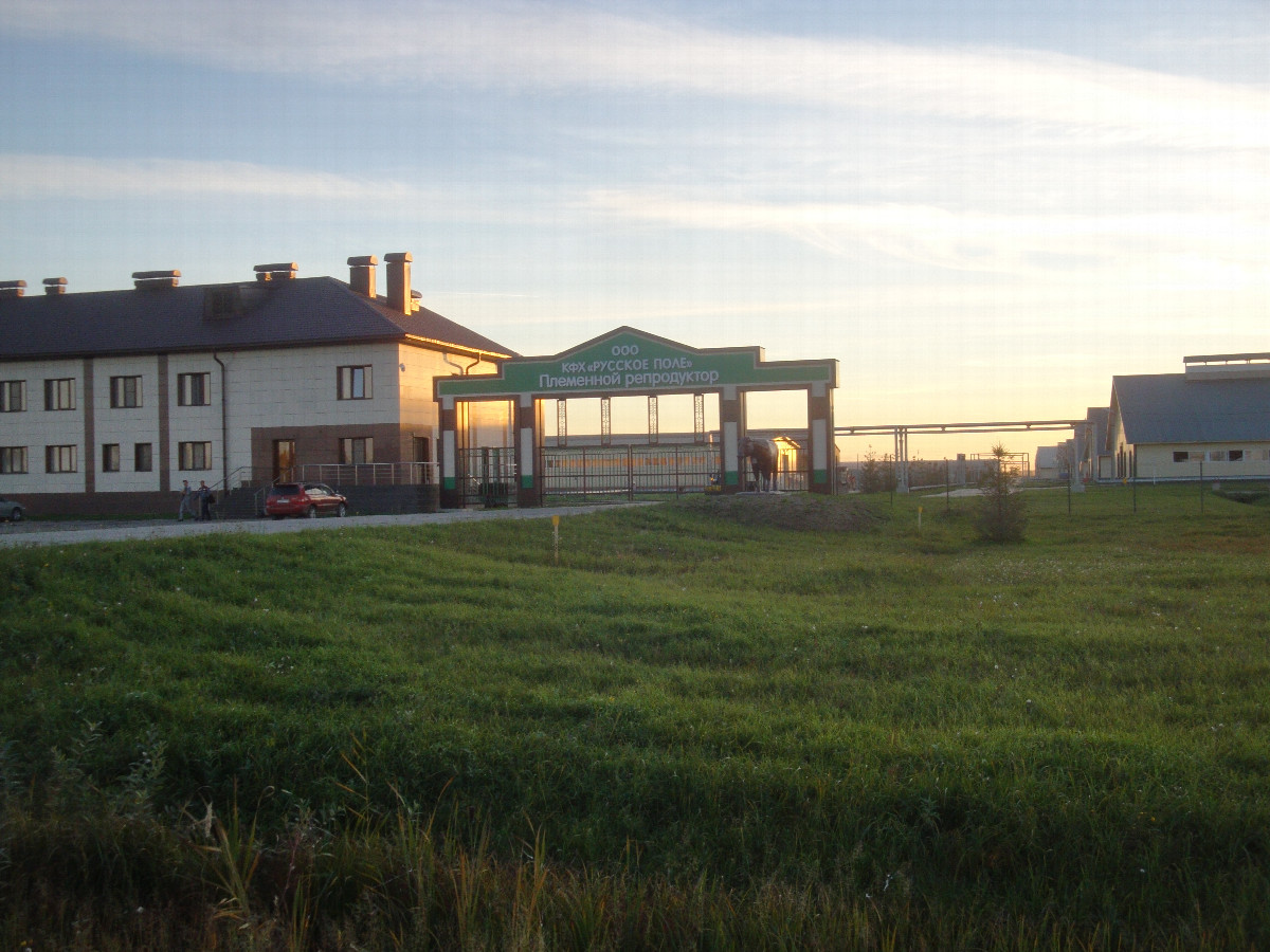 Животноводческий комплекс / Livestock complex