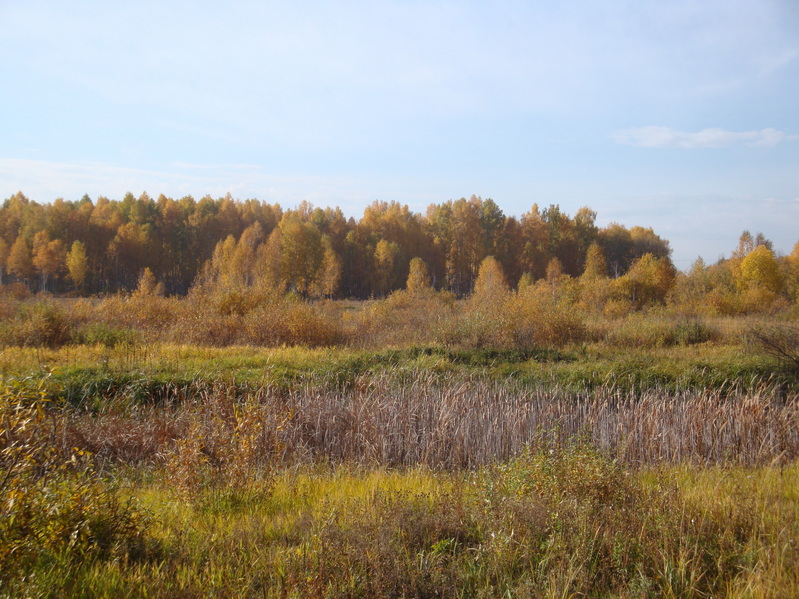 Бабье лето на Сибирской земле/Indian summer in Siberia