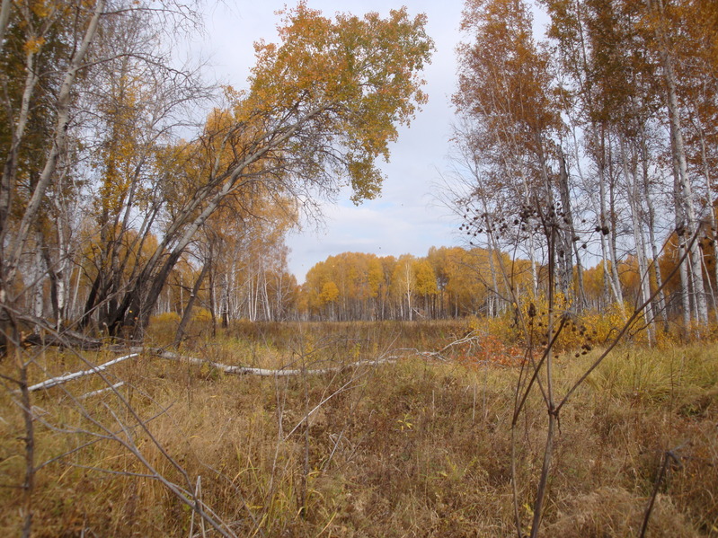 На север/To the North