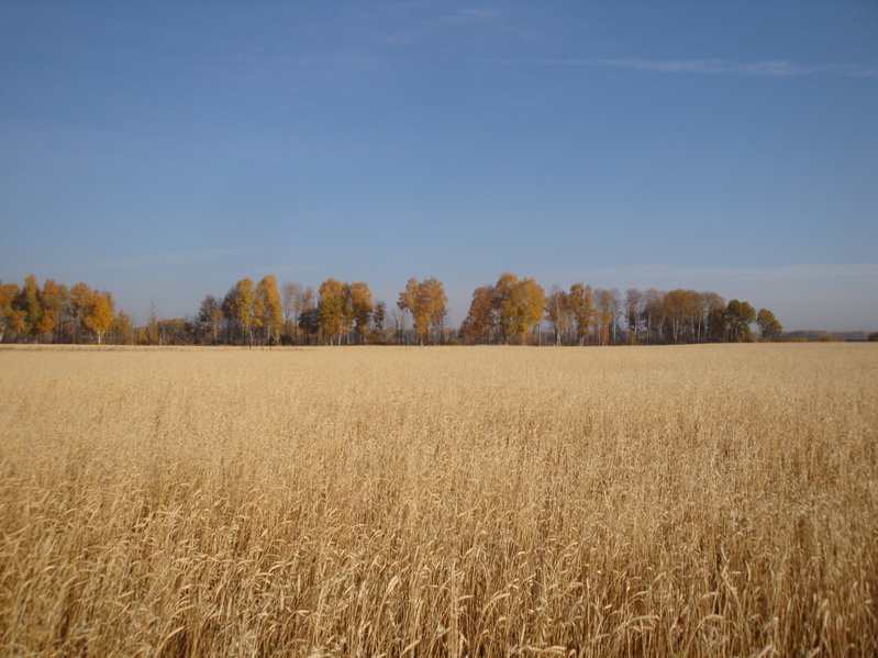 На север/To the North