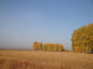 #1: Луна и поле - день чудесный/The moon and field - such wonderful day!