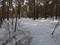 #4: East view