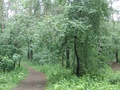 #3: South-West
