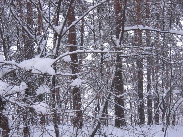 восток -- view to the East