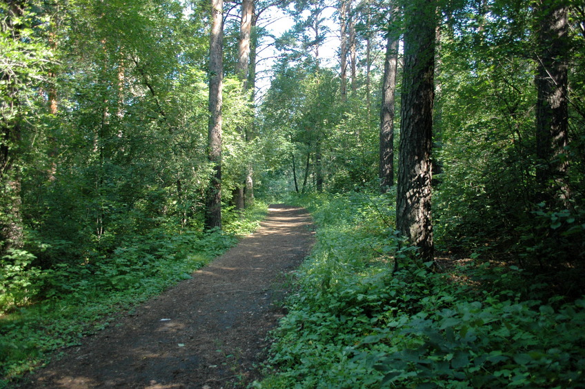 Confluence view 1 (approx East)