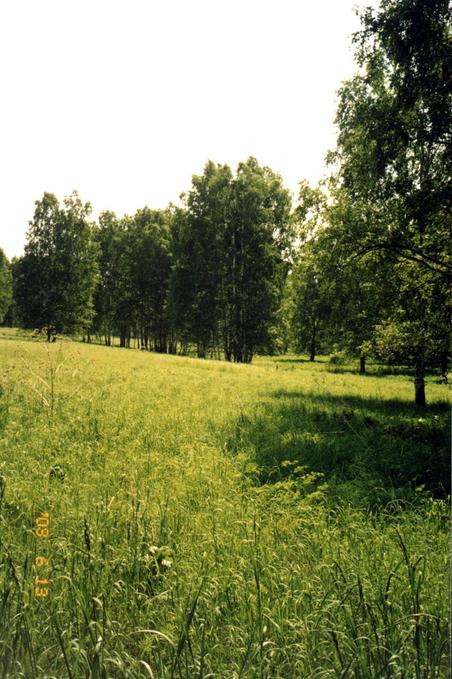 View from CP to the South.