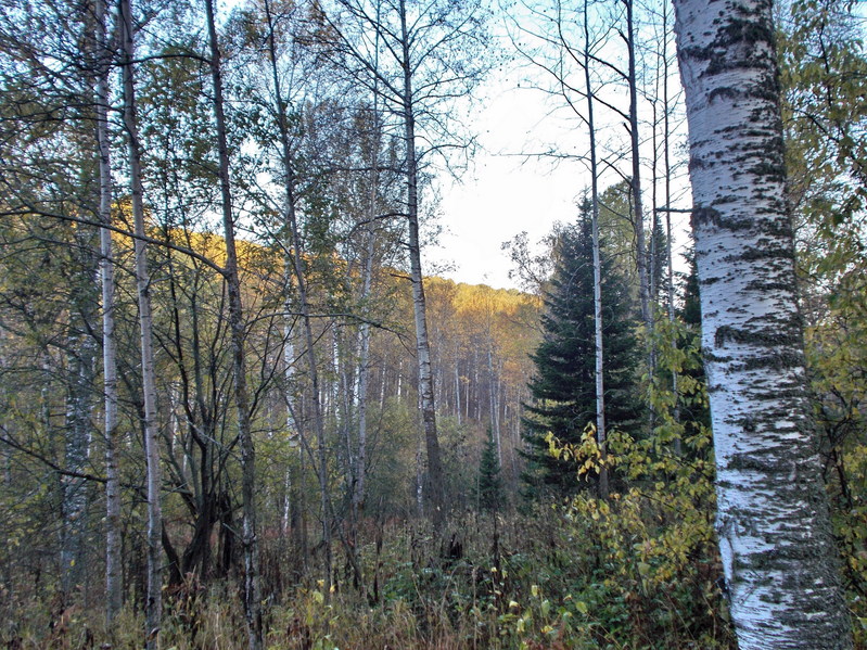 На Север/North view