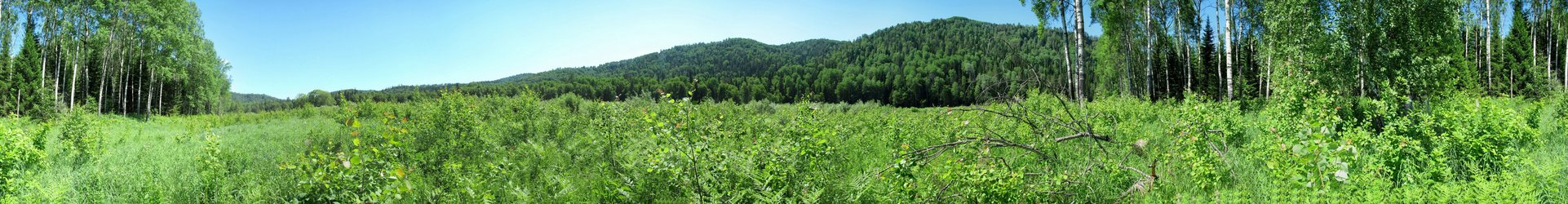 Confluence Panarama