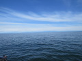 #2: East