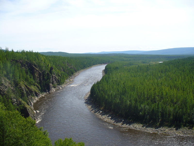 View to the Tsipa river, 500 meters from the confluence