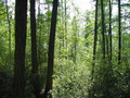 #6: View to the south