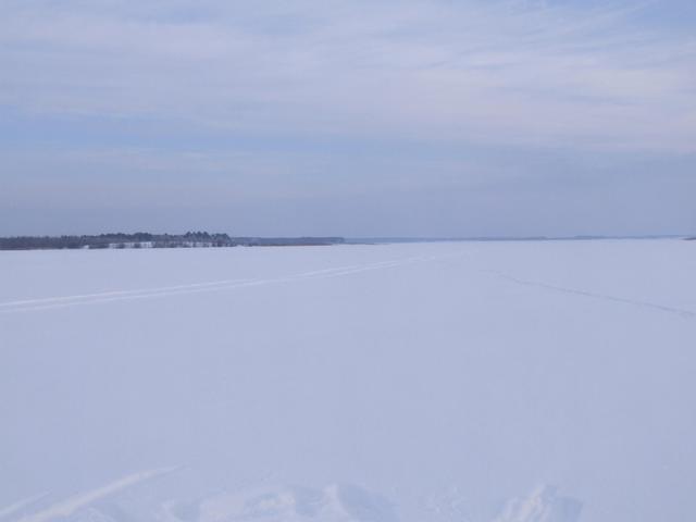 North view