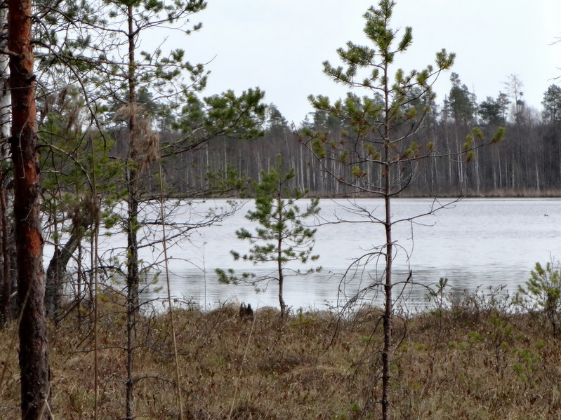 Verkh Lake