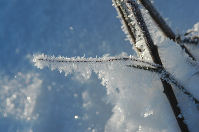 Natural icy craft