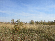 #2: East view