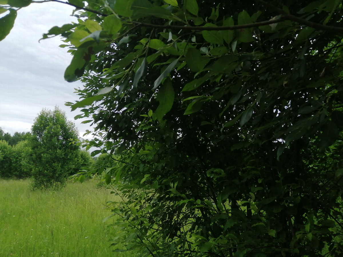 View to the south