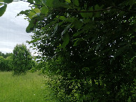 #4: View to the south