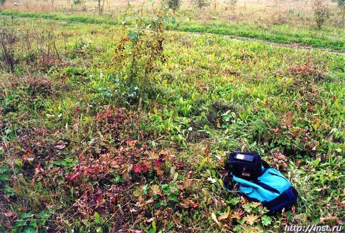 Typical form of the earth and grass in the Moscow area during September