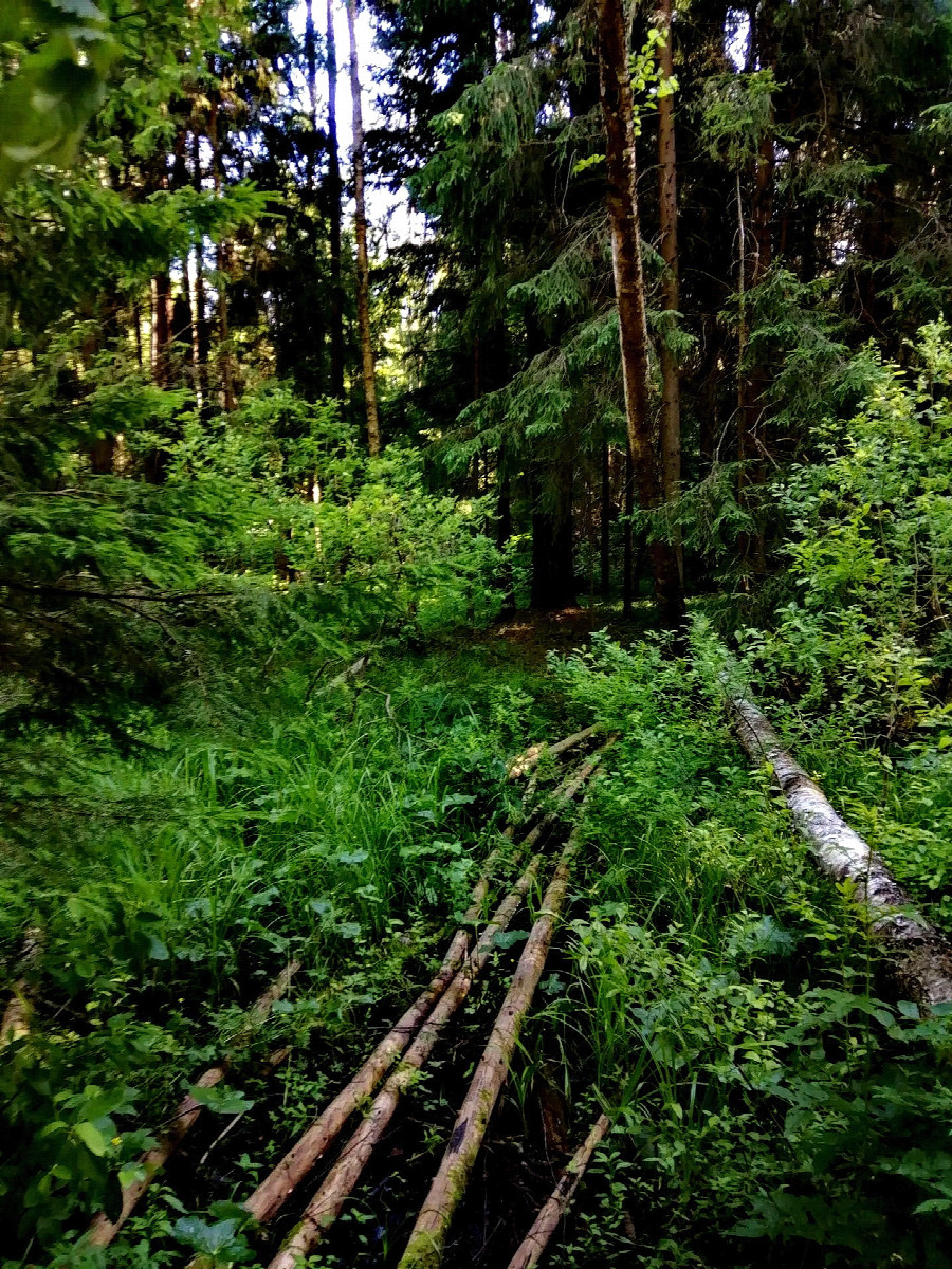Bridge over Lyuboseyevka River