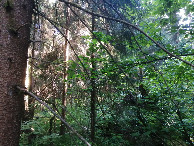 #4: View to the south